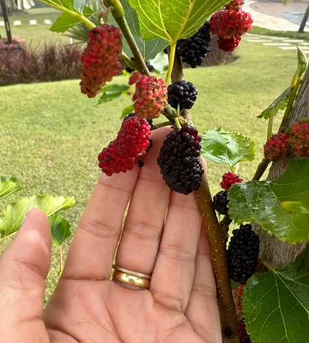 AnyConv.com__WhatsApp-Image-2023-09-25-at-15.13.17